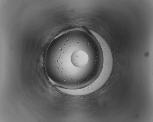 X0000114180820200910221711