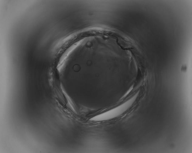 X0000114180822200910221711