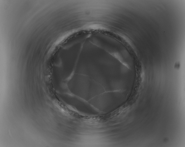 X0000114180823200910221711