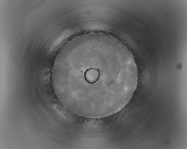 X0000114180824200910221711