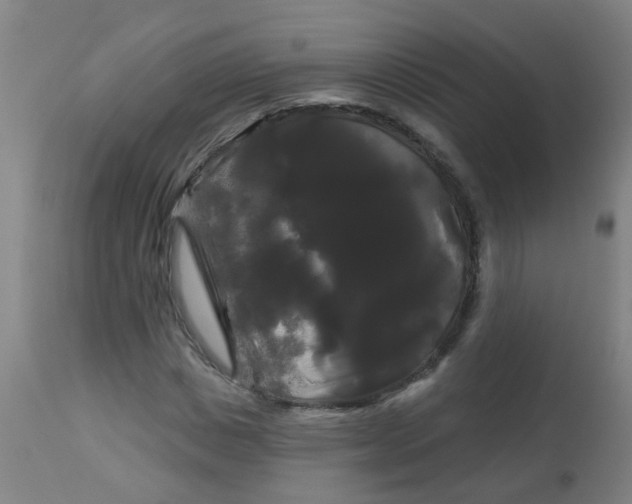 X0000114180825200910221711