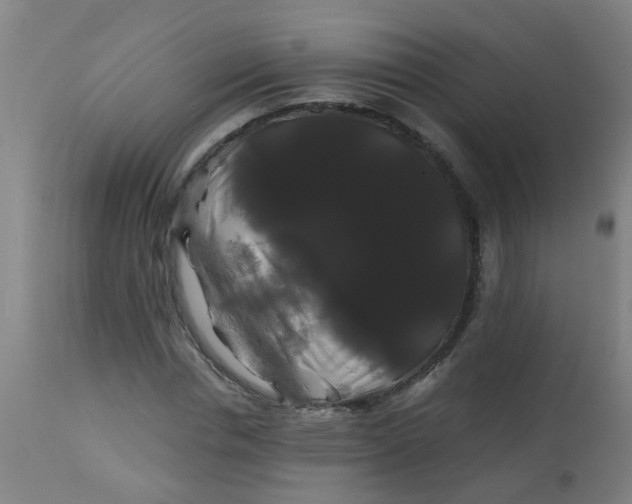 X0000114180826200910221711