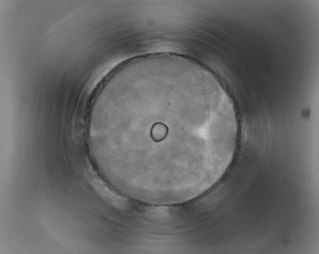 X0000114180828200910221711