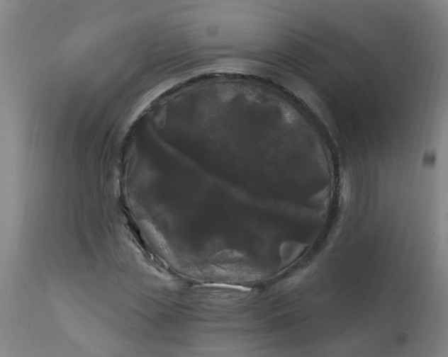 X0000114180829200910221711