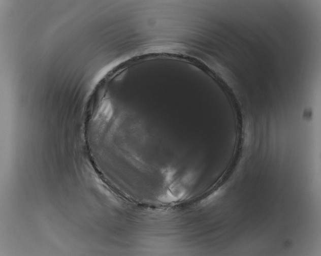 X0000114180830200910221711