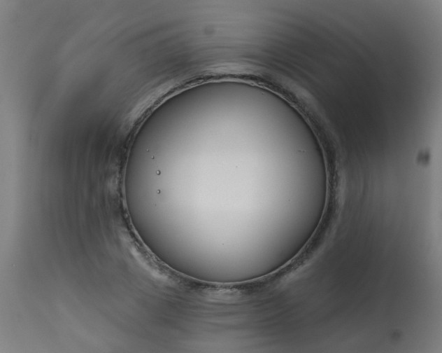 X0000114180833200910221711