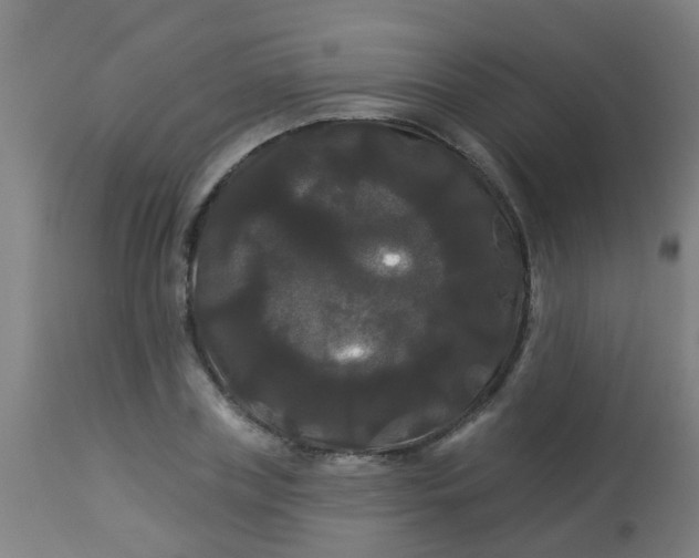 X0000114180835200910221711