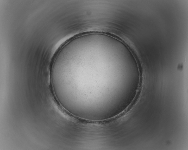 X0000114180838200910221712