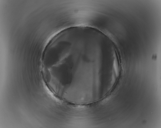 X0000114180839200910221712