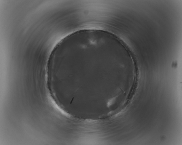 X0000114180840200910221712