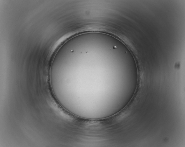 X0000114180846200910221712