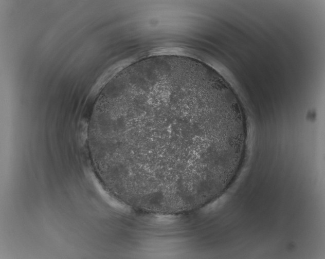 X0000114180849200910221712