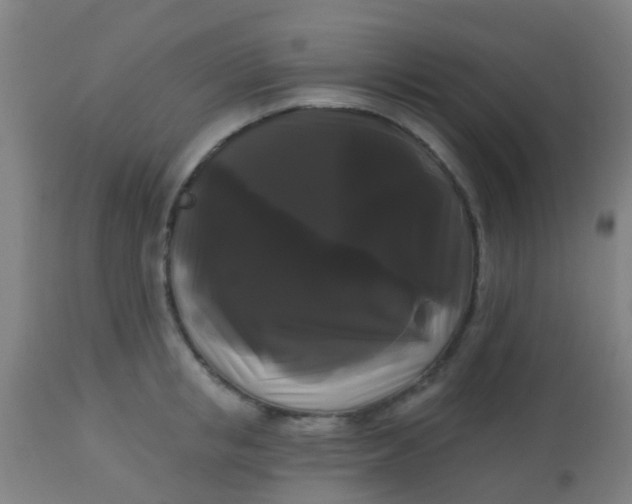 X0000114180853200910221712