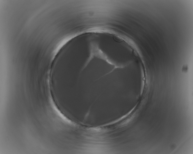 X0000114180855200910221712