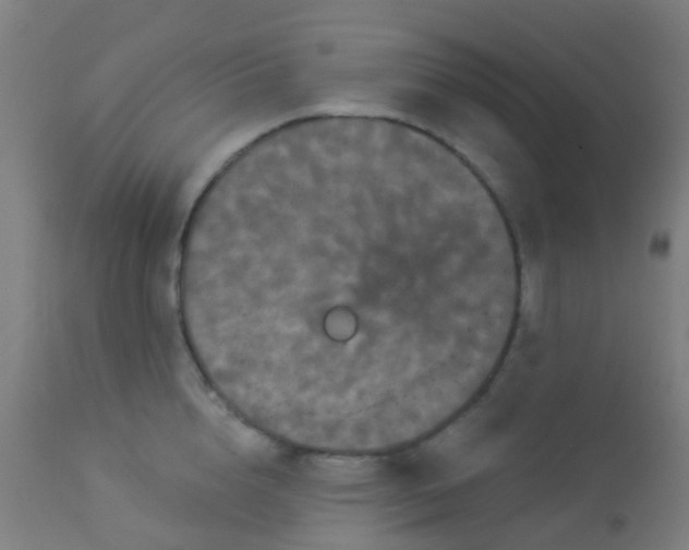 X0000114180856200910221712