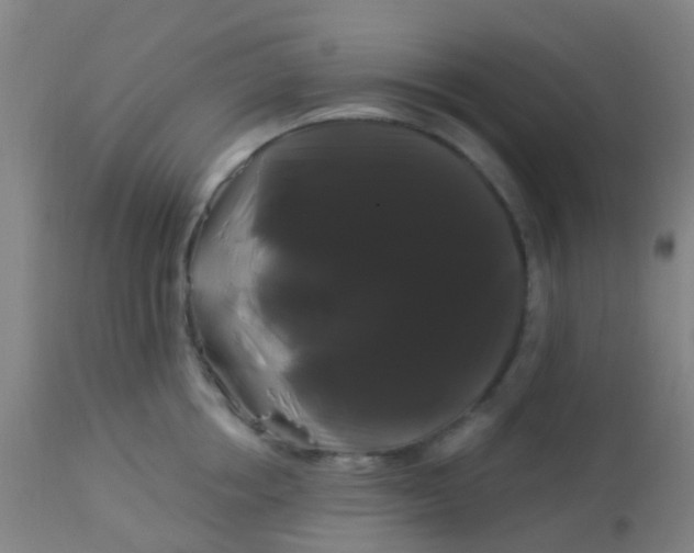 X0000114180858200910221712