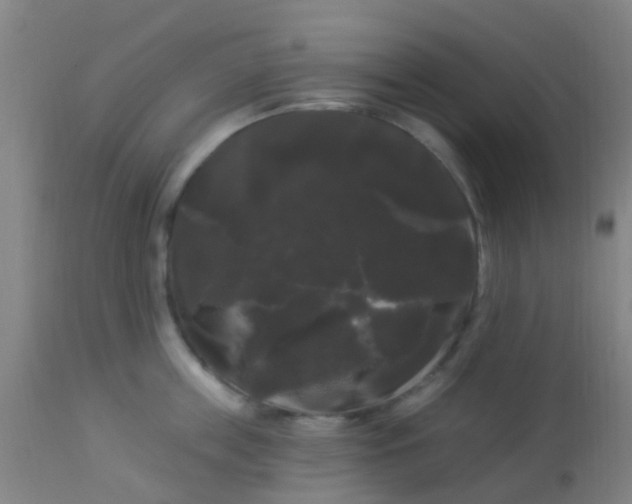 X0000114180859200910221712