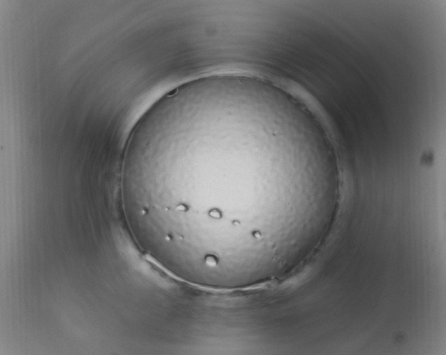 X0000114180860200910221712