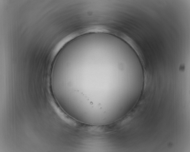 X0000114180861200910221712