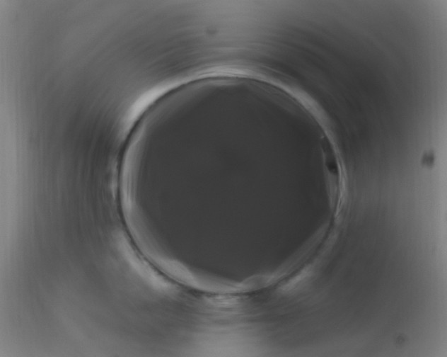 X0000114180862200910221712