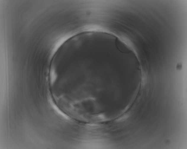 X0000114180863200910221712