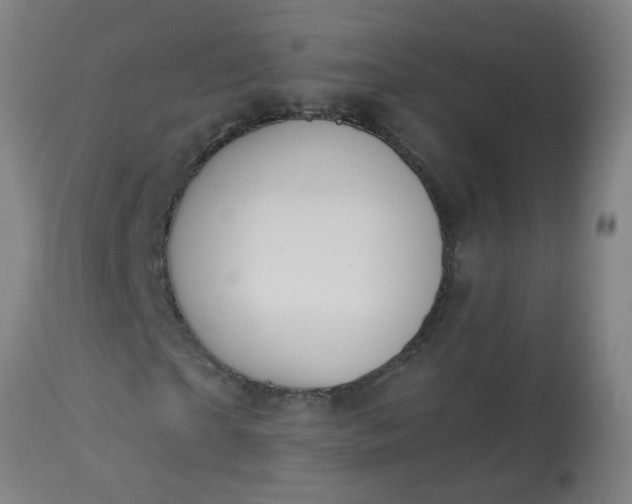 X0000114180865200910221711