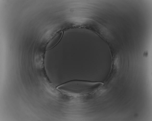 X0000114180868200910221711