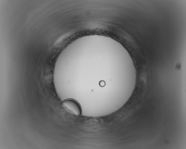 X0000114180869200910221711