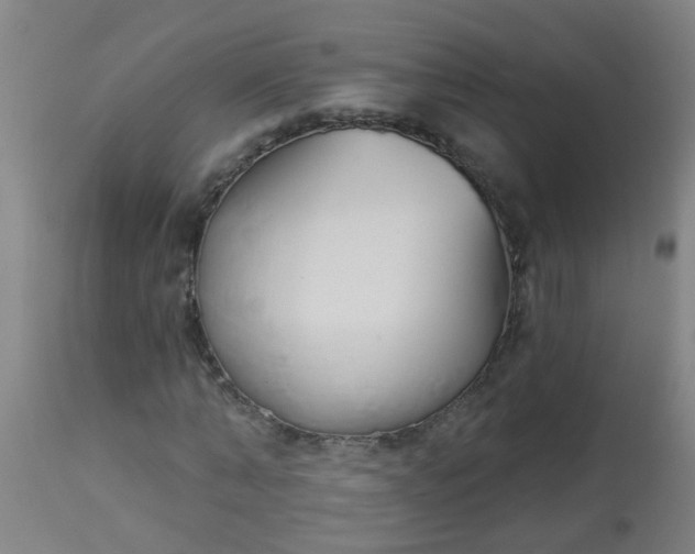 X0000114180870200910221711