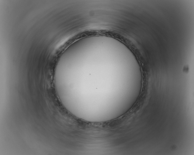 X0000114180871200910221711