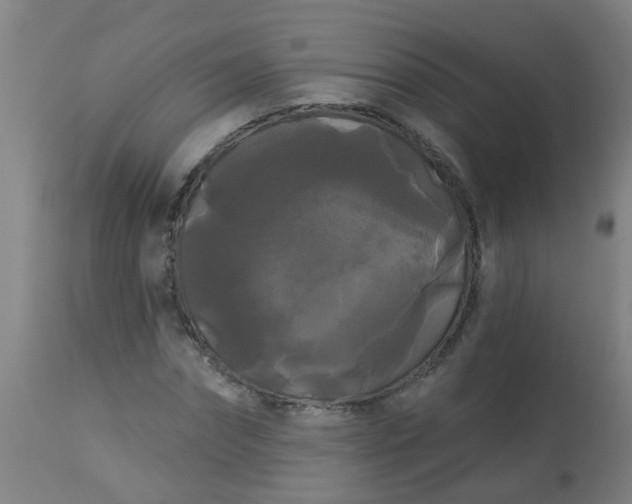 X0000114180874200910221711