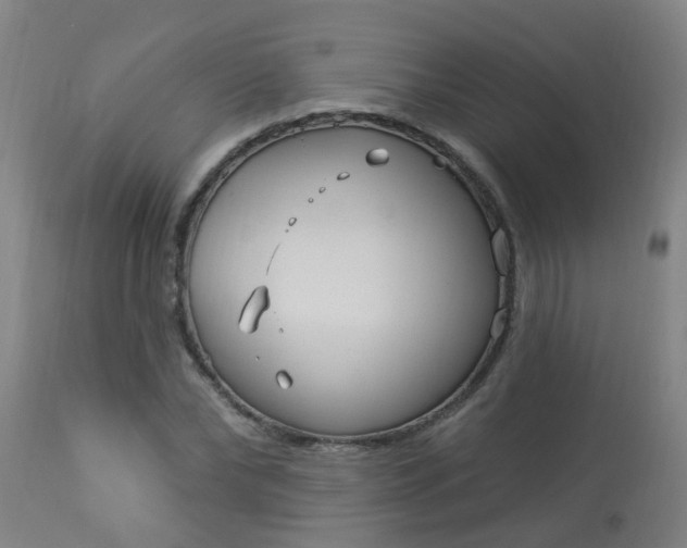 X0000114180878200910221711