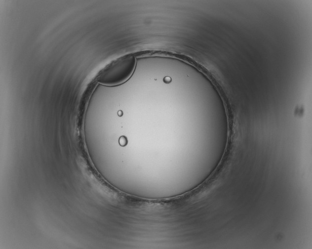 X0000114180880200910221711