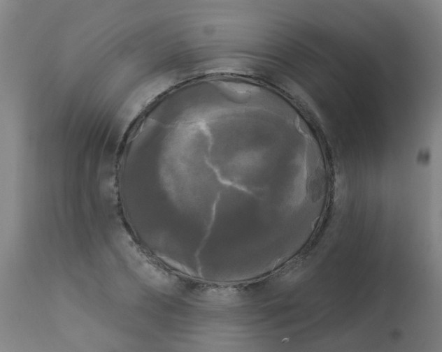 X0000114180882200910221711