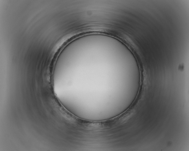 X0000114180883200910221711