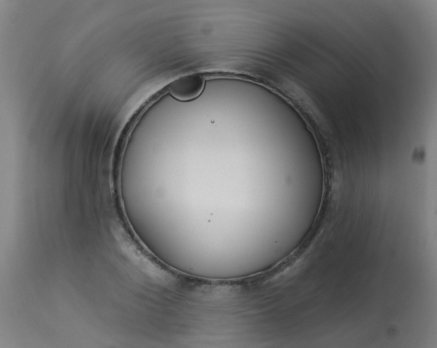 X0000114180884200910221711