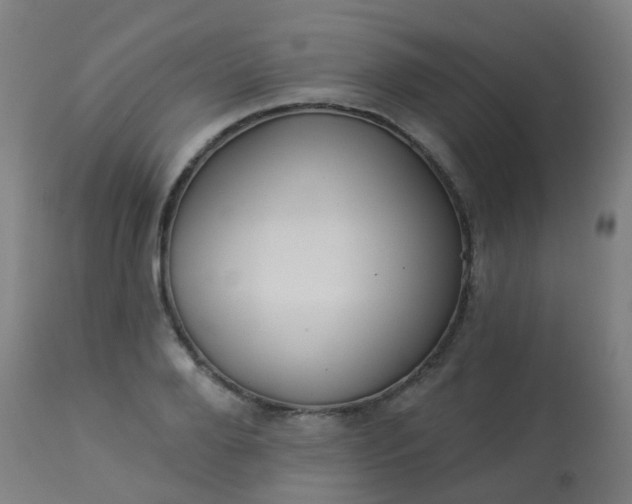 X0000114180888200910221711