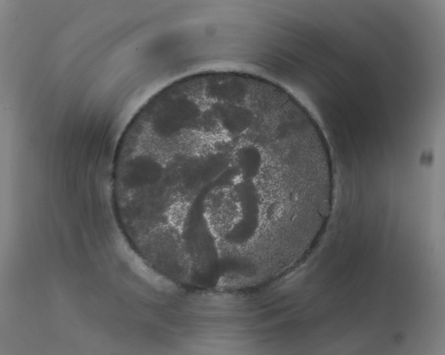 X0000114180895200910221711