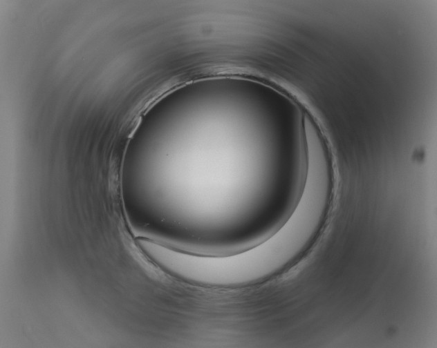 X0000114180897200910221711