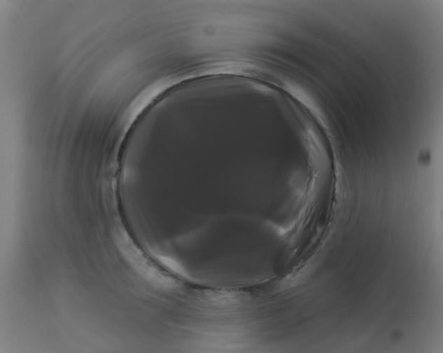 X0000114180899200910221711