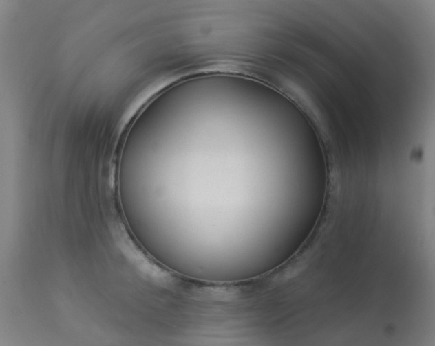 X0000114180900200910221711