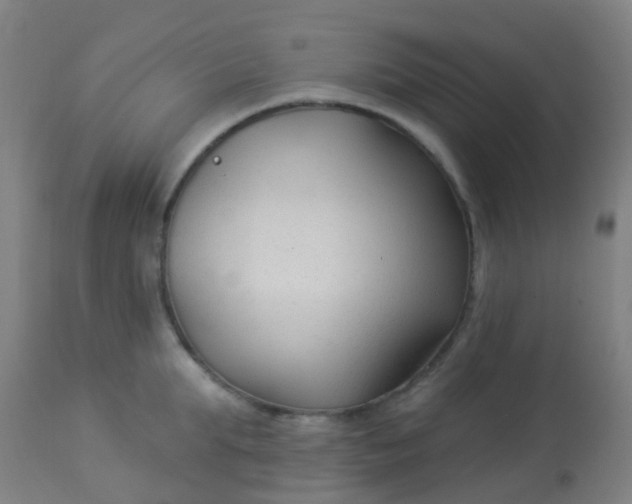 X0000114180903200910221711