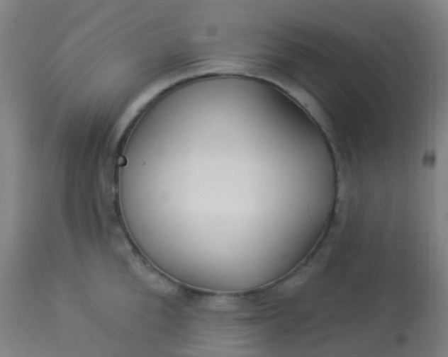 X0000114180904200910221711