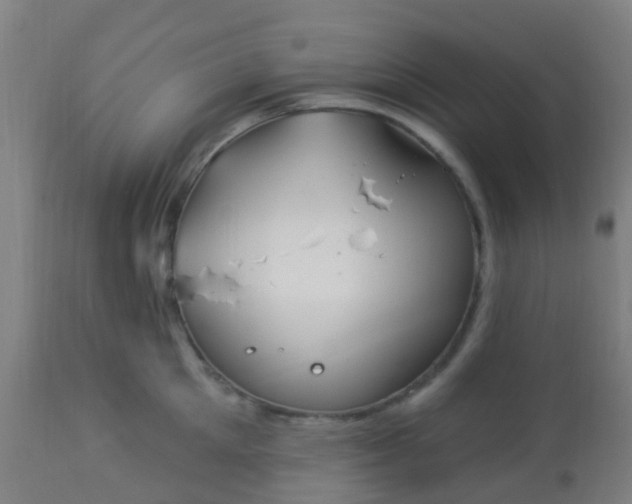 X0000114180905200910221711