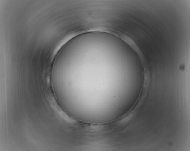 X0000114180908200910221710