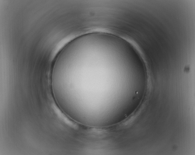 X0000114180910200910221710