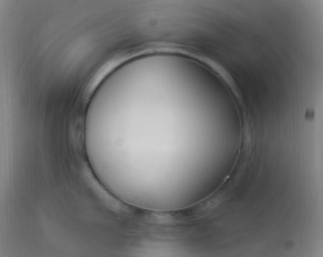 X0000114180911200910221710