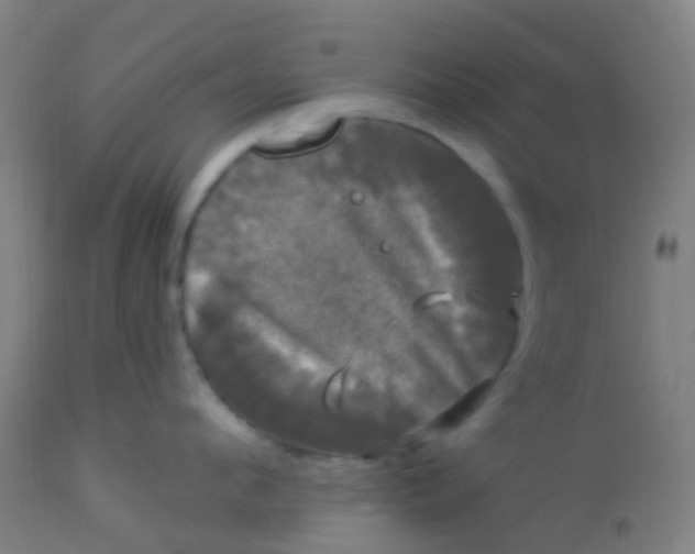 X0000114180912200910221710