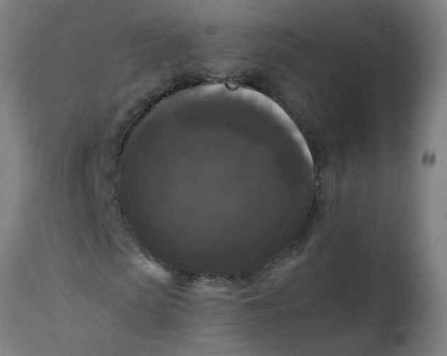 X0000114180913200910221710