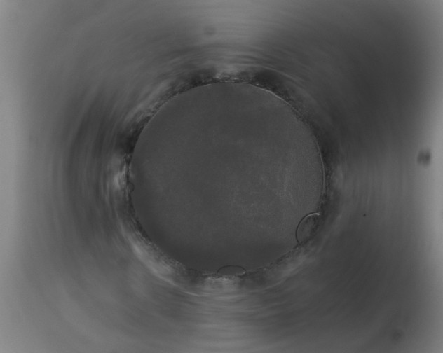 X0000114180914200910221710